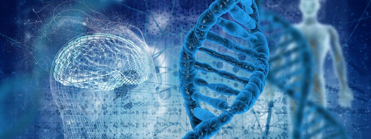 Titleimage: University of Bern and McGill University Partnership